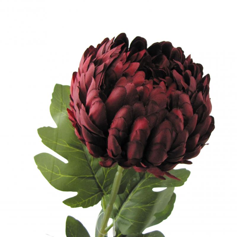 Chryzantema 75cm bordowa